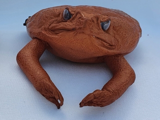 Cane Toad Coin Purse - Front Cane Toad Coin Purse - Made in Australia