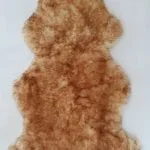 Beige with Brown Tips